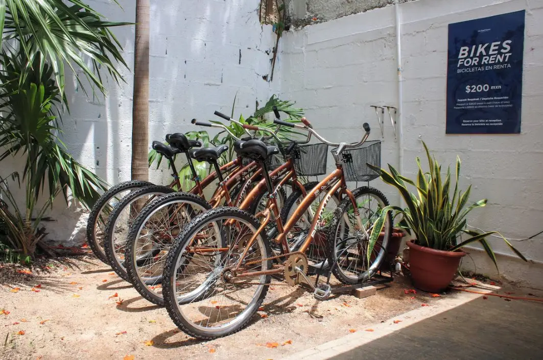 Common areas · The Boat House Cancún